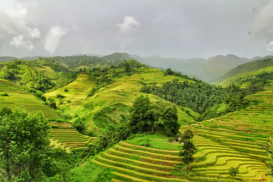 L&ecirc;n đường kh&aacute;m ph&aacute; M&ugrave; Cang Chải săn m&ugrave;a l&uacute;a ch&iacute;n v&agrave;ng 2