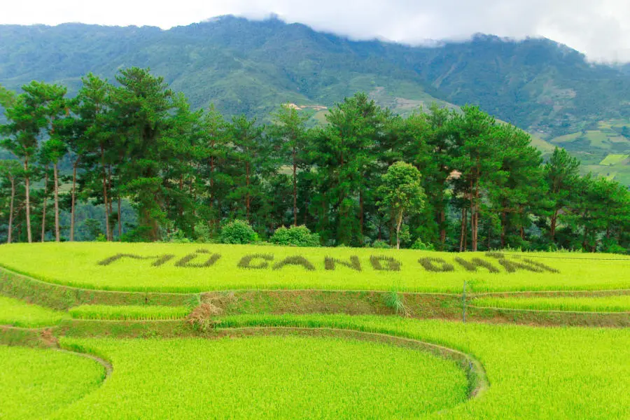 L&ecirc;n đường kh&aacute;m ph&aacute; M&ugrave; Cang Chải săn m&ugrave;a l&uacute;a ch&iacute;n v&agrave;ng 6