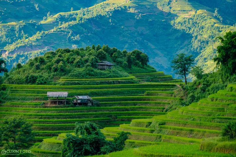 M&ugrave; Cang Chải h&ugrave;ng vĩ v&agrave; n&ecirc;n thơ tr&ecirc;n v&ugrave;ng cao Y&ecirc;n B&aacute;i 7