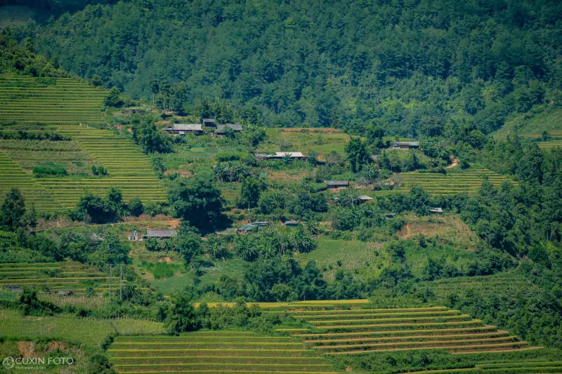 M&ugrave; Cang Chải h&ugrave;ng vĩ v&agrave; n&ecirc;n thơ tr&ecirc;n v&ugrave;ng cao Y&ecirc;n B&aacute;i 3
