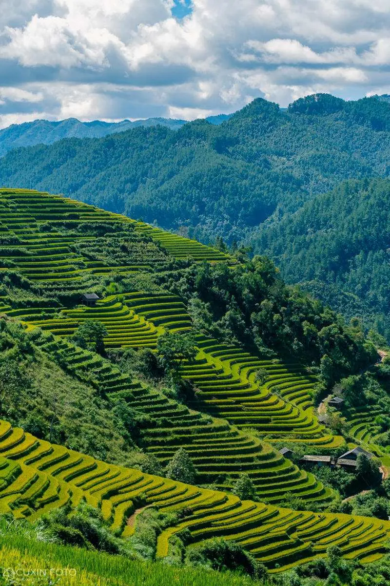 M&ugrave; Cang Chải h&ugrave;ng vĩ v&agrave; n&ecirc;n thơ tr&ecirc;n v&ugrave;ng cao Y&ecirc;n B&aacute;i 6