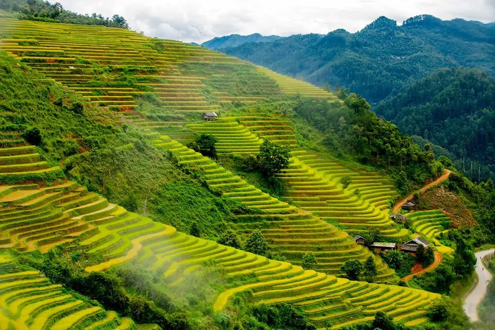 Review M&ugrave; Cang Chải c&ugrave;ng cặp đ&ocirc;i nhiếp ảnh gia 4