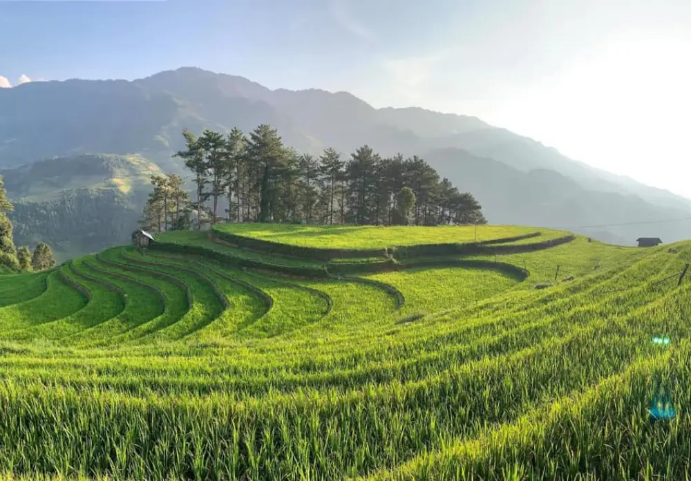 Review M&ugrave; Cang Chải - Hai ng&agrave;y kh&aacute;m ph&aacute; đất trời T&acirc;y Bắc 3