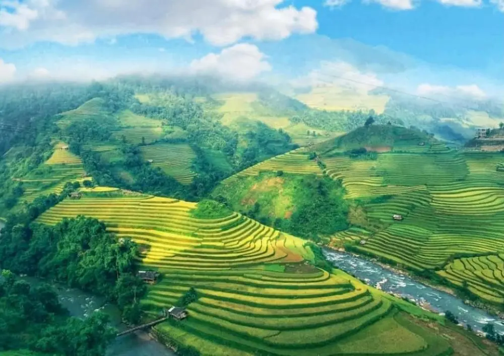Review Mù Cang Chải - Hương lúa gói ghém cả miền thương nhớ 6