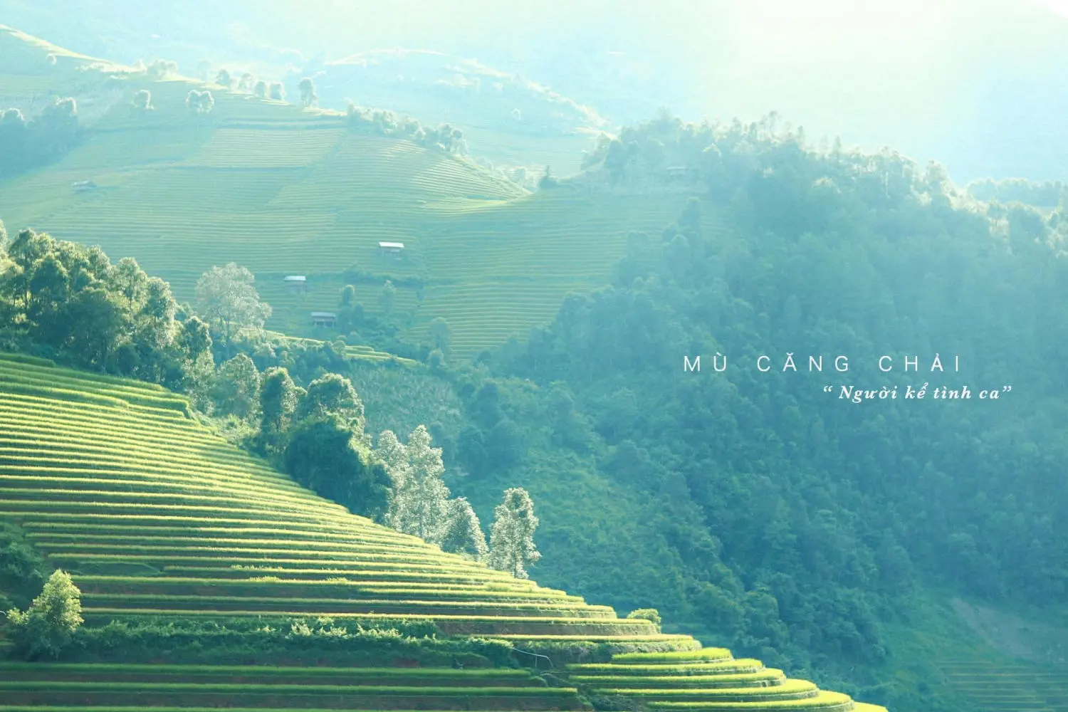 Review Mù Cang Chải - Những ngày vi vu khám phá không theo lịch trình 2