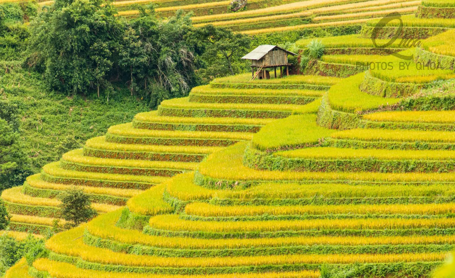 Review M&ugrave; Cang Chải - Vẻ đẹp b&igrave;nh y&ecirc;n tr&ecirc;n những bản l&agrave;ng v&ugrave;ng cao 2