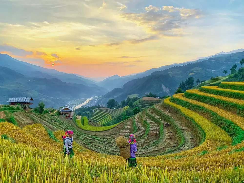 Review Mù Cang Chải - Vẻ đẹp thuần khiết của thiên nhiên 10