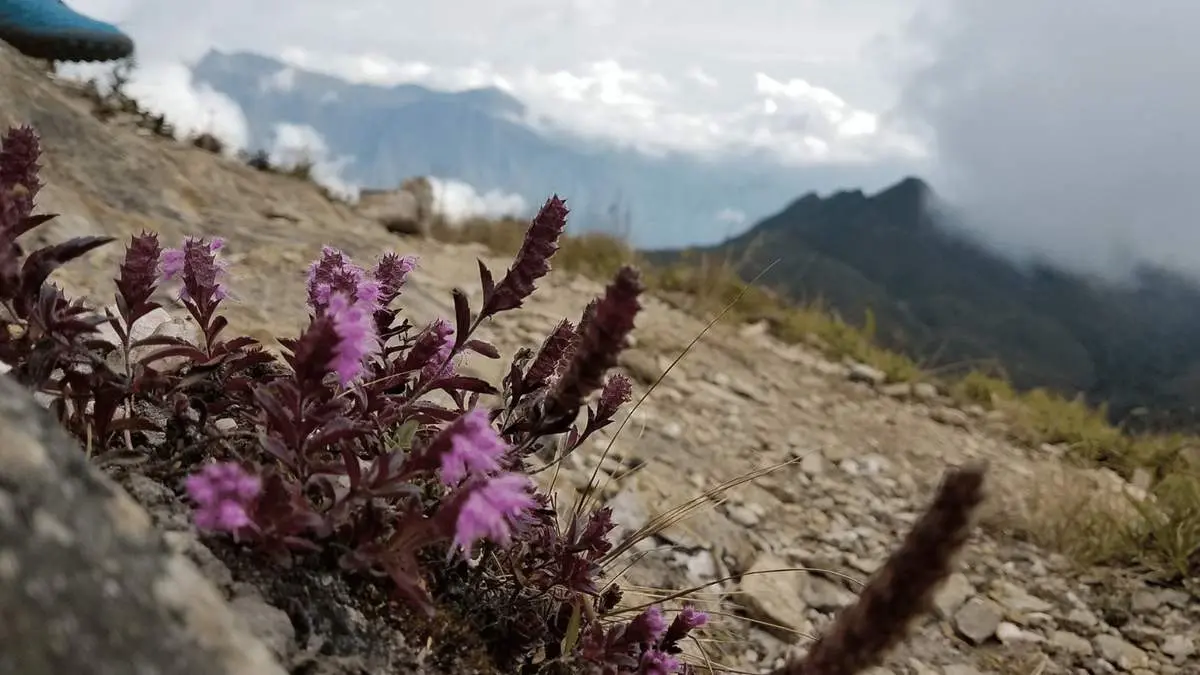 Review T&agrave; Ch&igrave; Nh&ugrave; v&agrave; chuyến h&agrave;nh tr&igrave;nh chinh phục n&oacute;c nh&agrave; Y&ecirc;n B&aacute;i 7