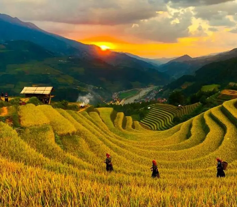Ruộng bậc thang M&ugrave; Cang Chải: N&eacute;t đẹp giao h&ograve;a giữa T&acirc;y Bắc 4