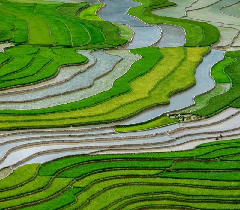 Ruộng bậc thang M&ugrave; Cang Chải: N&eacute;t đẹp giao h&ograve;a giữa T&acirc;y Bắc 6