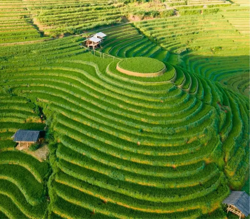 Ruộng bậc thang M&ugrave; Cang Chải: N&eacute;t đẹp giao h&ograve;a giữa T&acirc;y Bắc 7
