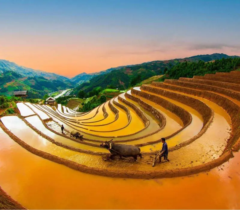 Ruộng bậc thang M&ugrave; Cang Chải: N&eacute;t đẹp giao h&ograve;a giữa T&acirc;y Bắc 3