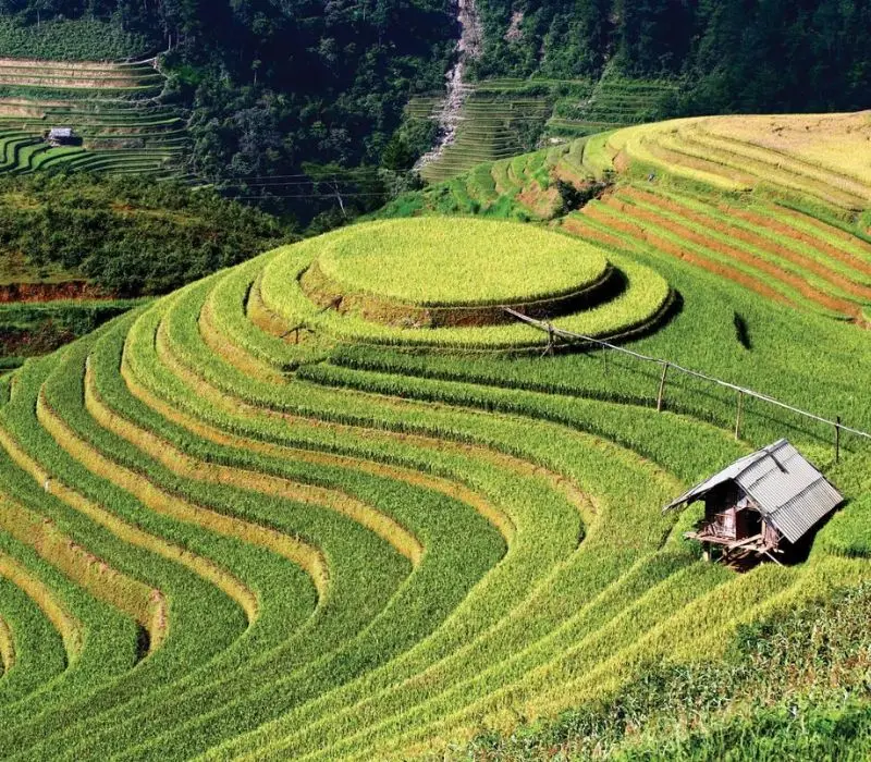 Ruộng bậc thang M&ugrave; Cang Chải: N&eacute;t đẹp giao h&ograve;a giữa T&acirc;y Bắc 2