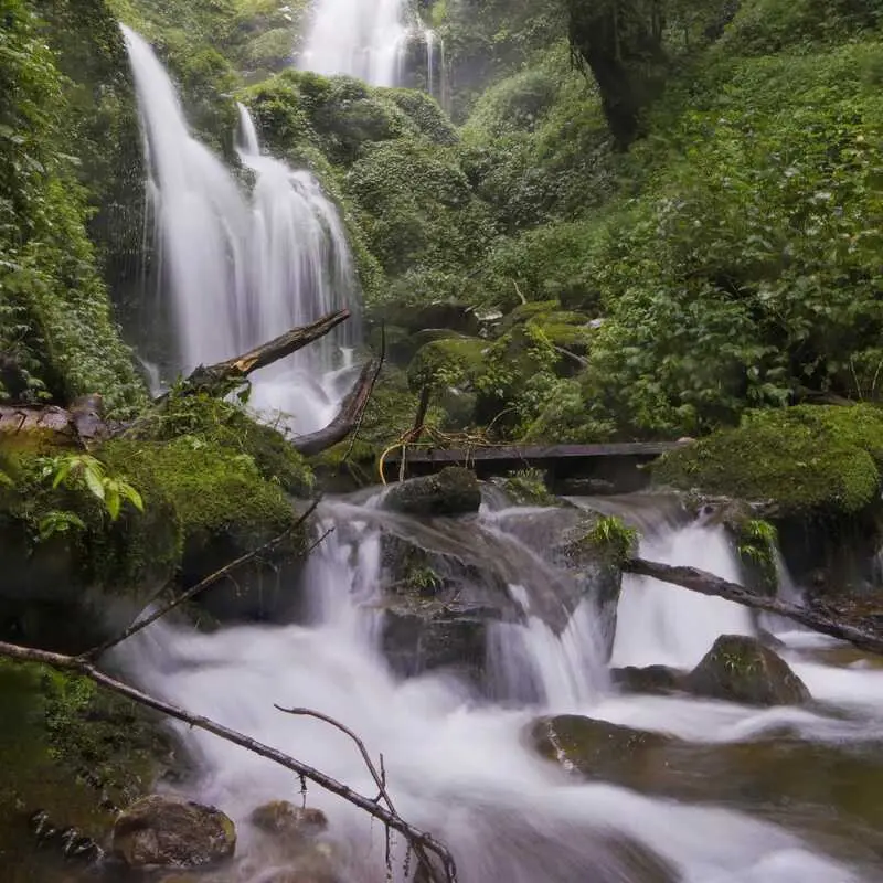 Trekking L&ugrave;ng C&uacute;ng Y&ecirc;n B&aacute;i, điểm đến ấn tượng giữa rừng gi&agrave; 4