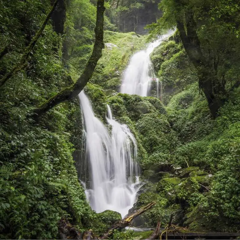 Trekking L&ugrave;ng C&uacute;ng Y&ecirc;n B&aacute;i, điểm đến ấn tượng giữa rừng gi&agrave; 6