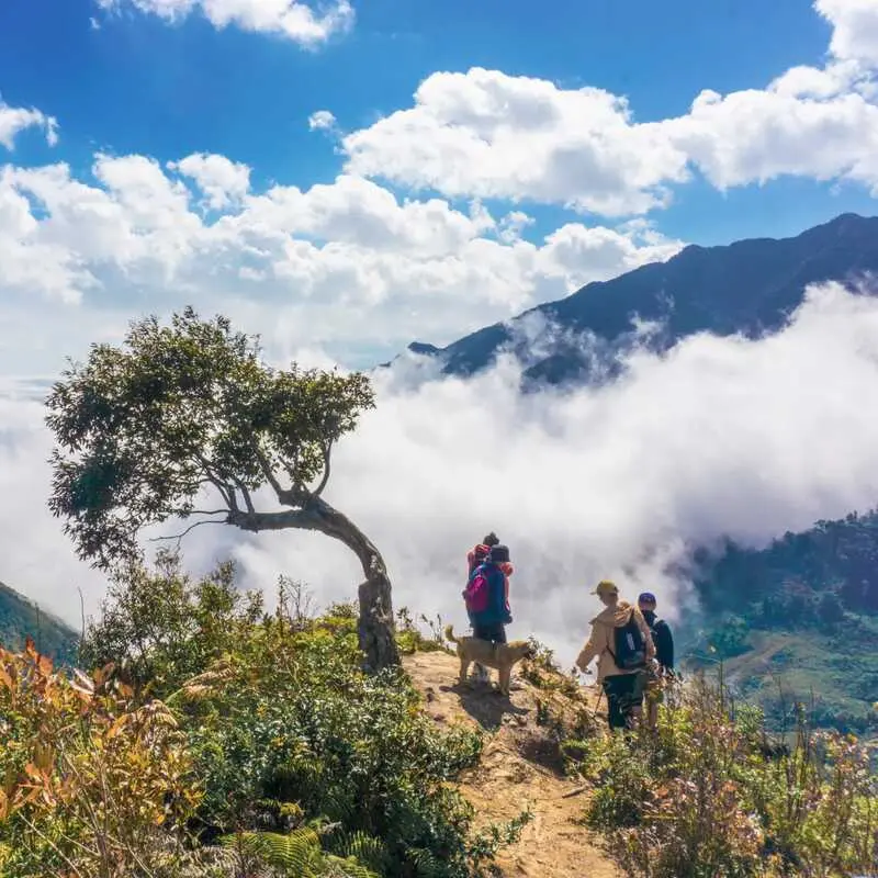 Trekking L&ugrave;ng C&uacute;ng Y&ecirc;n B&aacute;i, điểm đến ấn tượng giữa rừng gi&agrave; 3