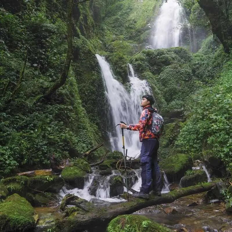 Trekking L&ugrave;ng C&uacute;ng Y&ecirc;n B&aacute;i, điểm đến ấn tượng giữa rừng gi&agrave; 2