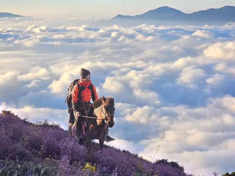 Trekking m&ugrave;a hoa Chi P&acirc;u phủ sắc t&iacute;m khắp T&agrave; Ch&igrave; Nh&ugrave; 16