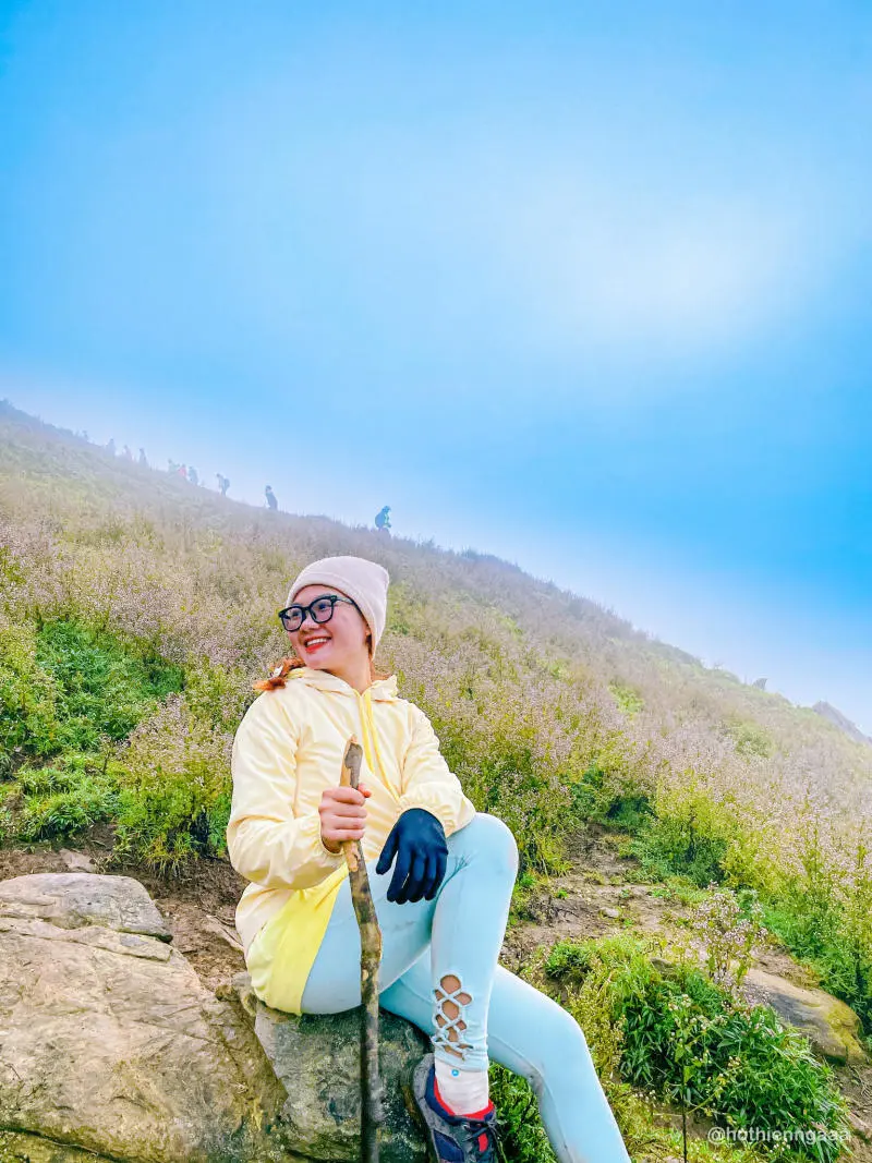Trekking m&ugrave;a hoa Chi P&acirc;u phủ sắc t&iacute;m khắp T&agrave; Ch&igrave; Nh&ugrave; 5
