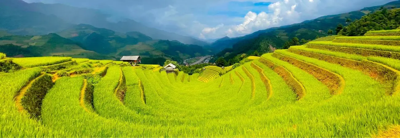 Khám phá Các thửa ruộng bậc thang Mù Cang Chải đẹp đắm say