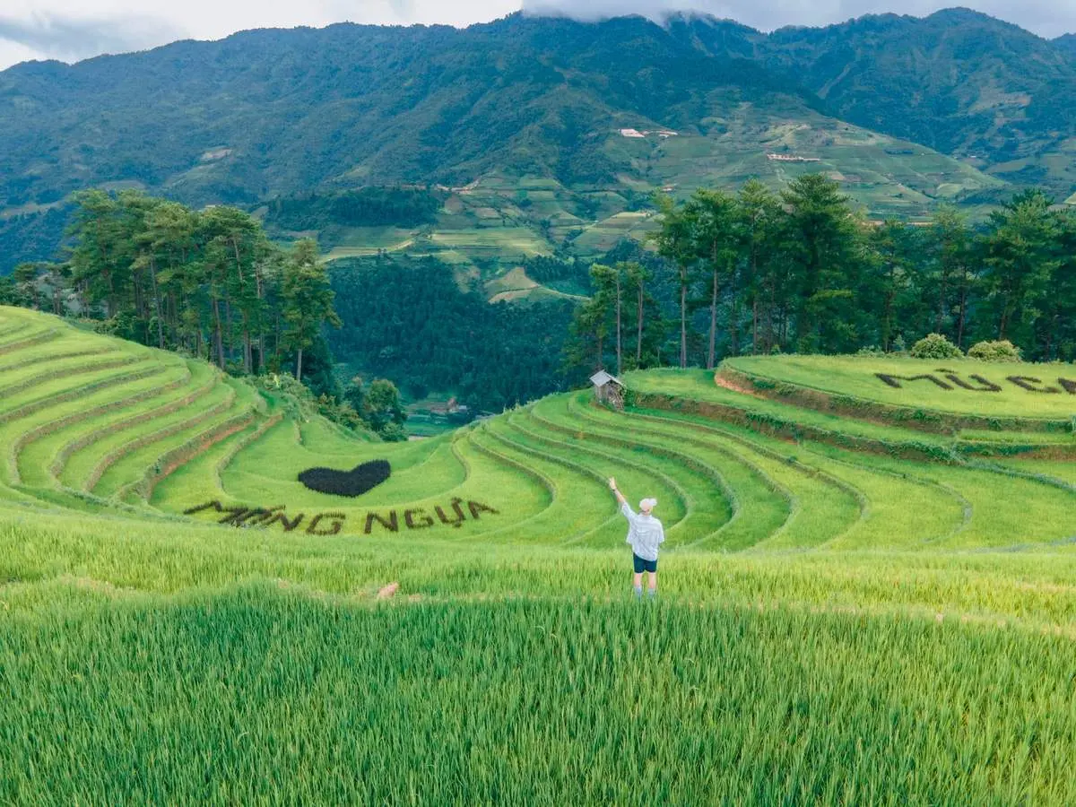 Khám phá Đồi Móng Ngựa, không gian thiên nhiên thanh tao tại Mù Cang Chải