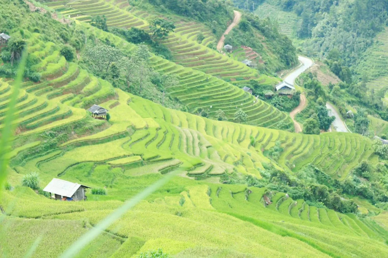Review Mù Cang Chải - Những ngày vi vu khám phá không theo lịch trình