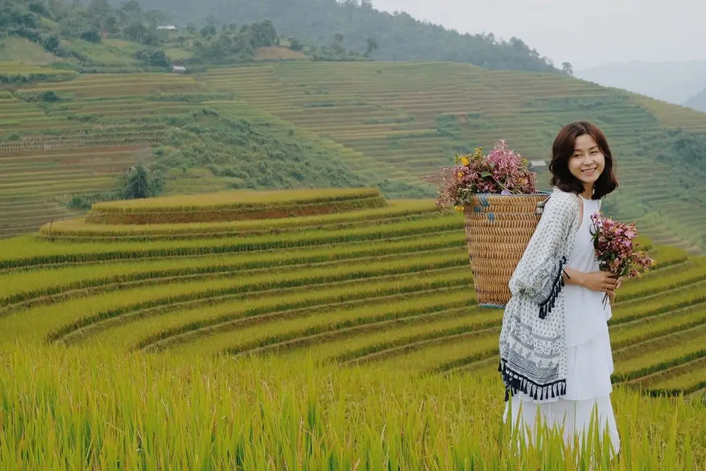Bật m&iacute; Kinh nghiệm săn ảnh ruộng M&acirc;m X&ocirc;i M&ugrave; Cang Chải vạn người m&ecirc; 8