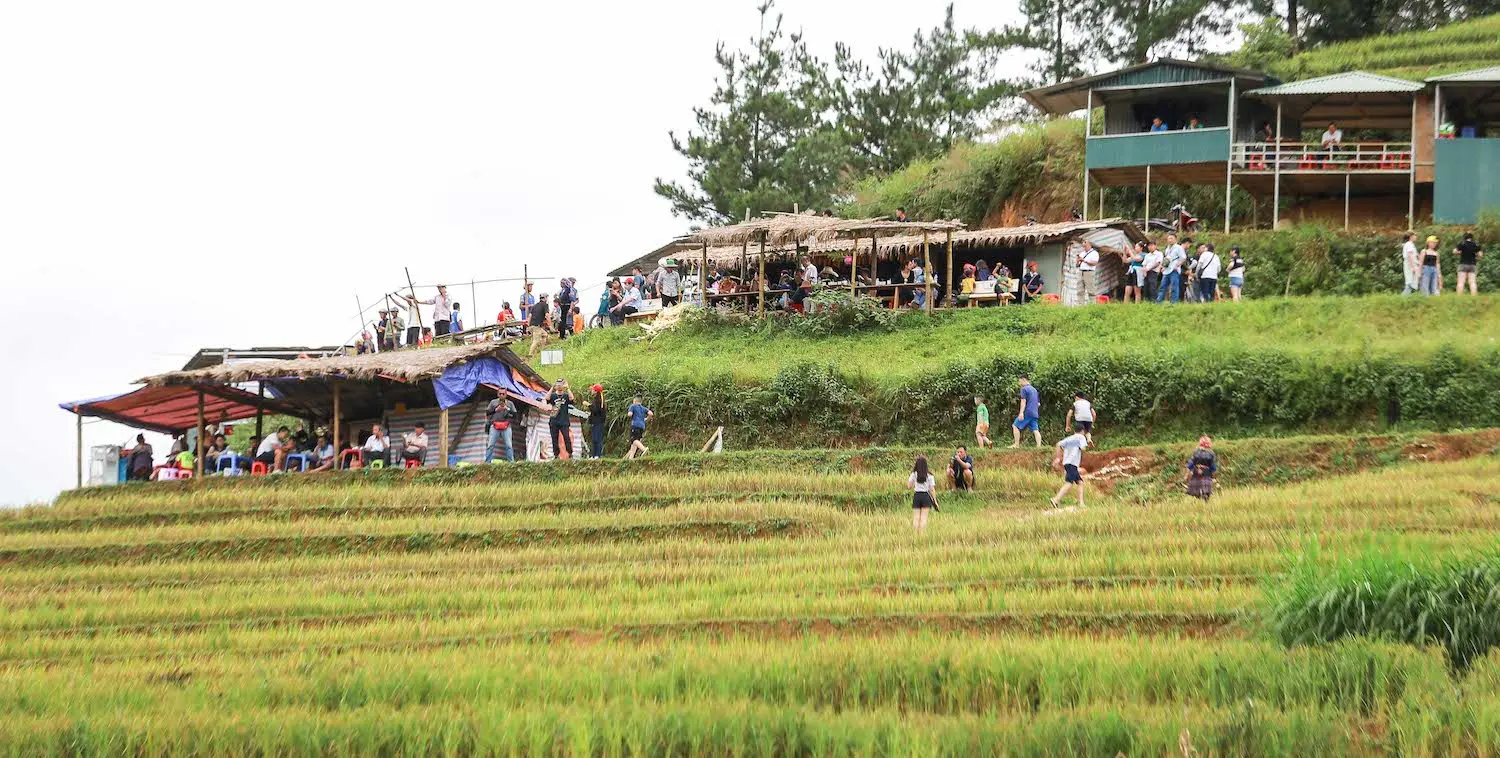 Bật m&iacute; Kinh nghiệm săn ảnh ruộng M&acirc;m X&ocirc;i M&ugrave; Cang Chải vạn người m&ecirc; 9