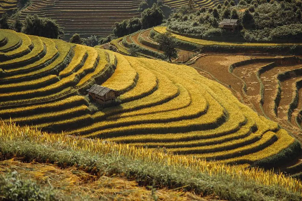 Kinh nghiệm du lịch M&ugrave; Cang Chải tự t&uacute;c từ A đến Z 3