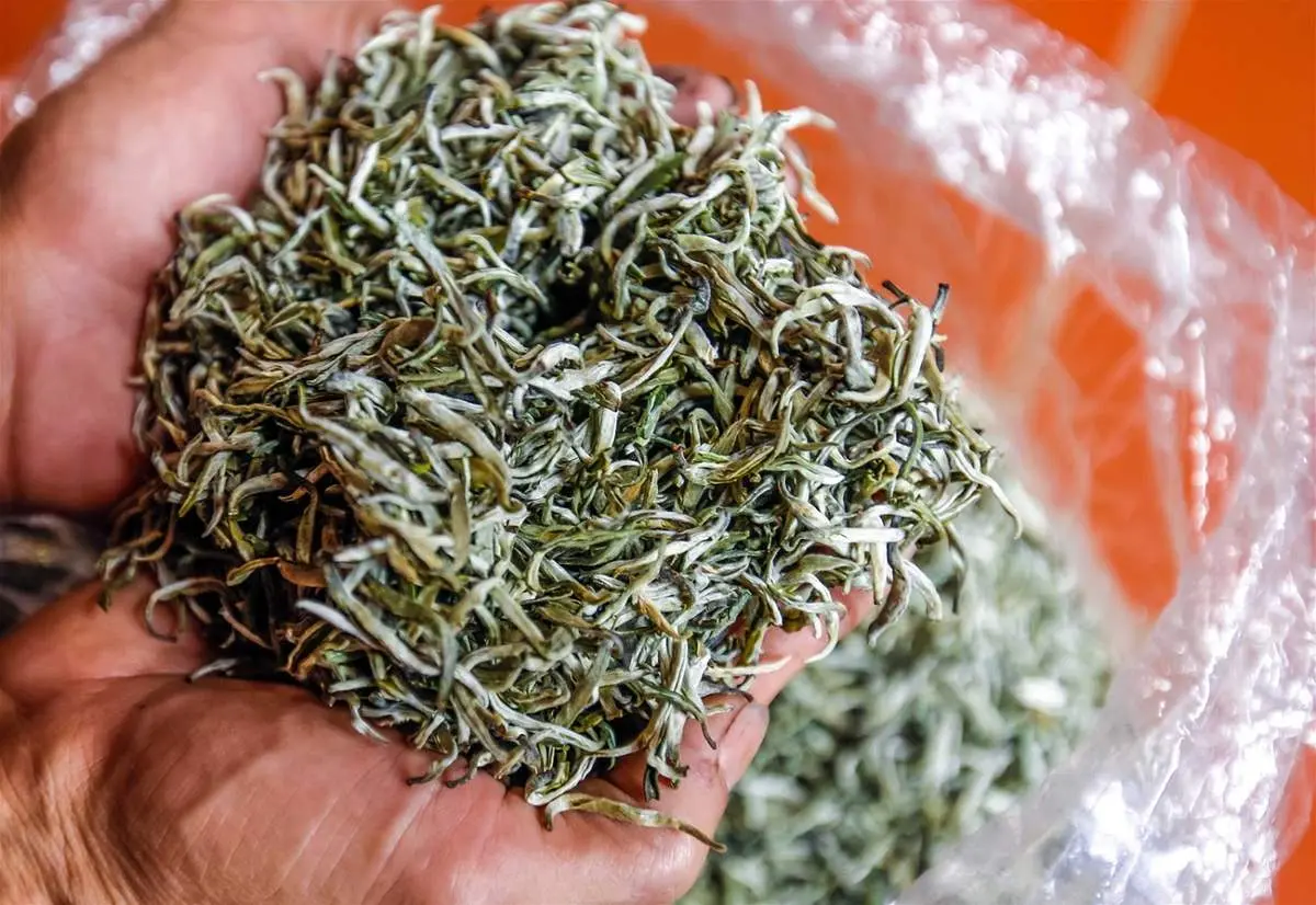 Kinh nghiệm du lịch Suối Gi&agrave;ng để kh&aacute;m ph&aacute; trọn vẹn cảnh sắc nơi đ&acirc;y 4
