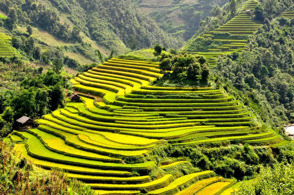 Kinh nghiệm du lịch T&uacute; Lệ Y&ecirc;n B&aacute;i - N&agrave;ng thơ của v&ugrave;ng cao T&acirc;y Bắc 4
