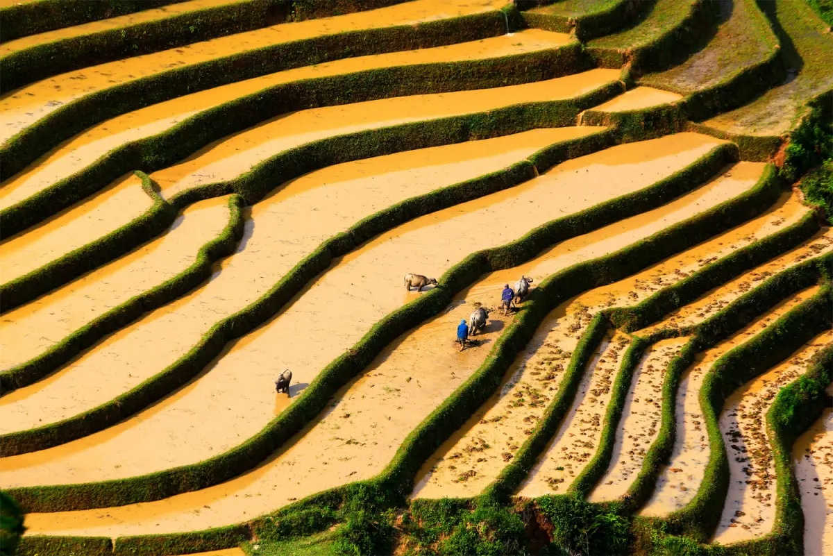 Kinh nghiệm du lịch T&uacute; Lệ Y&ecirc;n B&aacute;i - N&agrave;ng thơ của v&ugrave;ng cao T&acirc;y Bắc 3