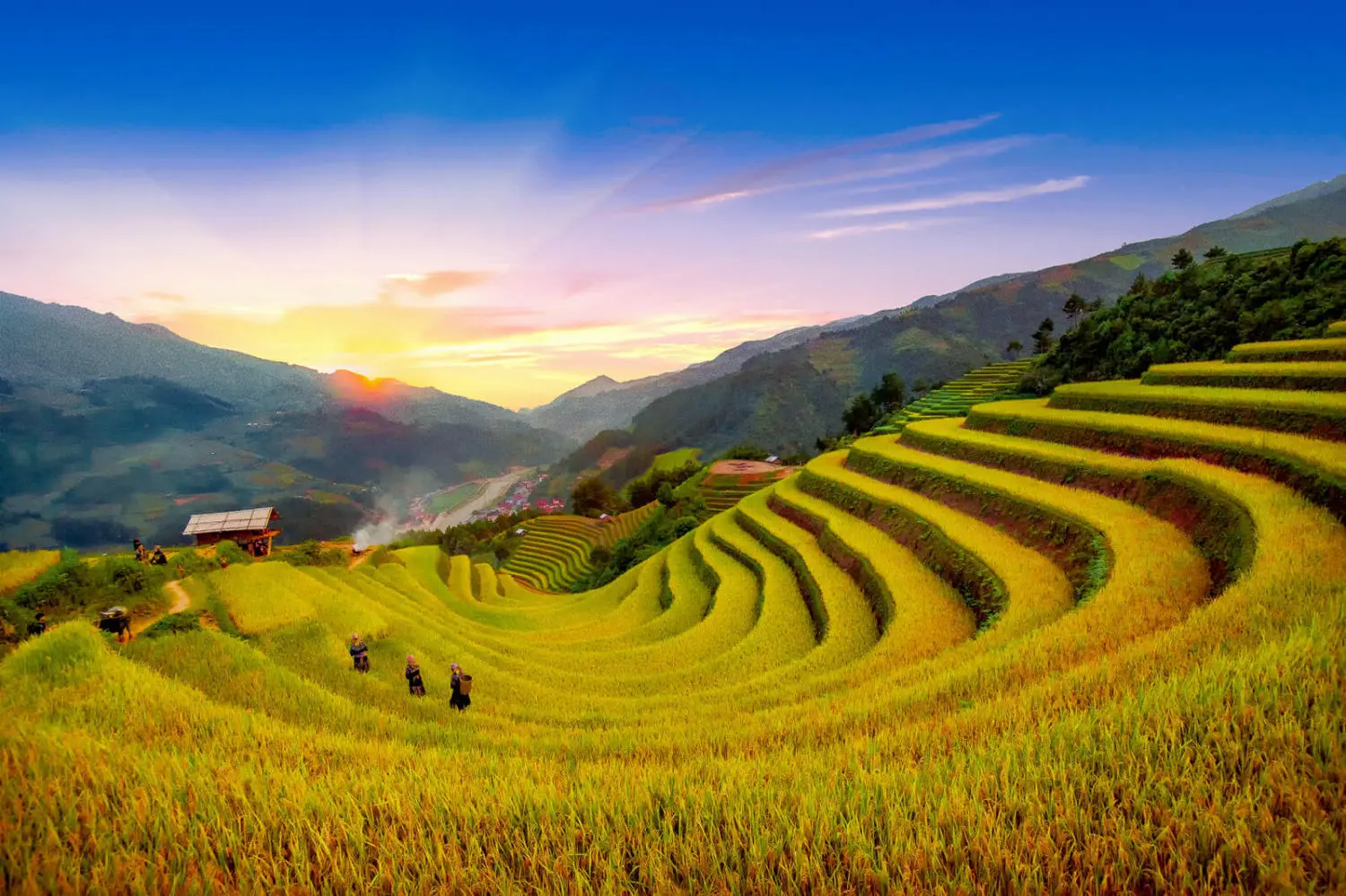 Kinh nghiệm kh&aacute;m ph&aacute; m&ugrave;a v&agrave;ng M&ugrave; Cang Chải từ A đến Z 6