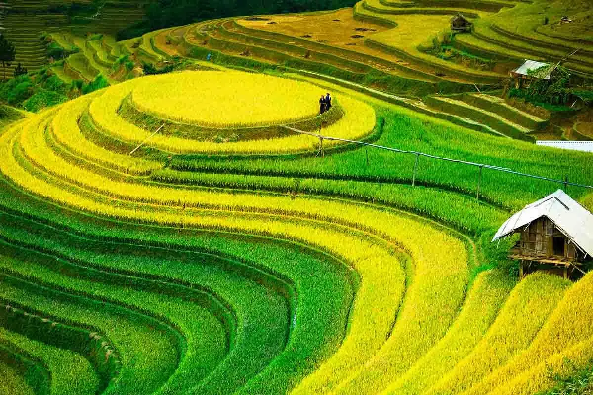 Kinh nghiệm kh&aacute;m ph&aacute; m&ugrave;a v&agrave;ng M&ugrave; Cang Chải từ A đến Z 7