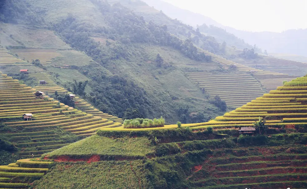 Kinh nghiệm phượt Yên Bái cho dân đam mê xê dịch 3