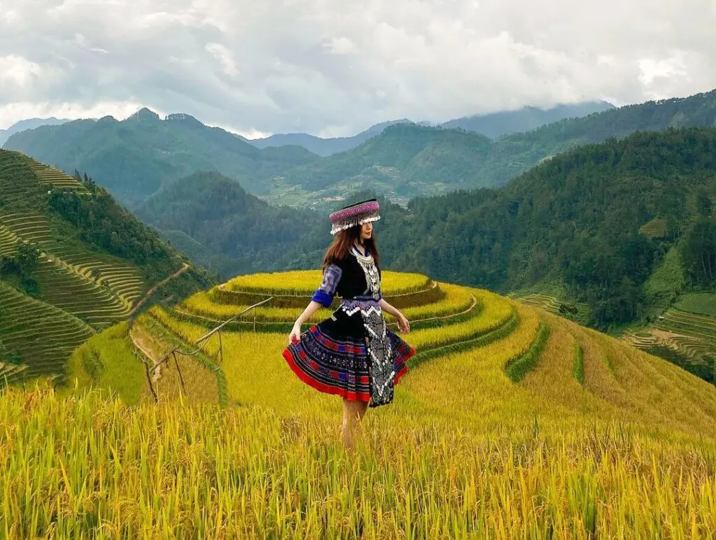 M&ugrave; Cang Chải m&ugrave;a l&uacute;a ch&iacute;n: Kinh nghiệm săn trọn khoảnh khắc v&agrave;ng đẹp nhất 3