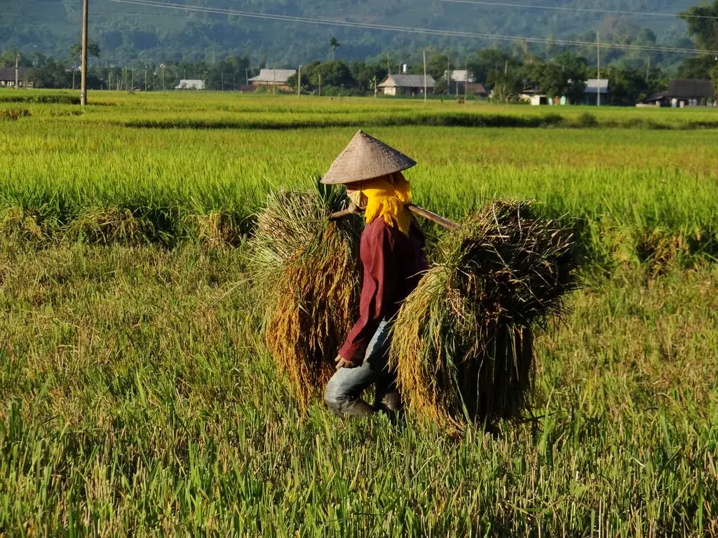Trọn bộ Kinh nghiệm phượt Y&ecirc;n B&aacute;i tự t&uacute;c d&agrave;nh cho 'team chiếu mới' 7
