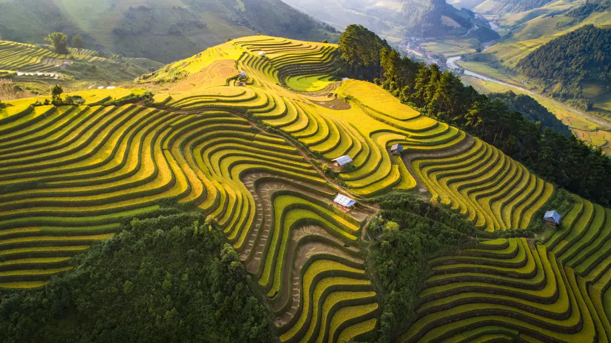 Kinh nghiệm du lịch Tú Lệ Yên Bái - Nàng thơ của vùng cao Tây Bắc