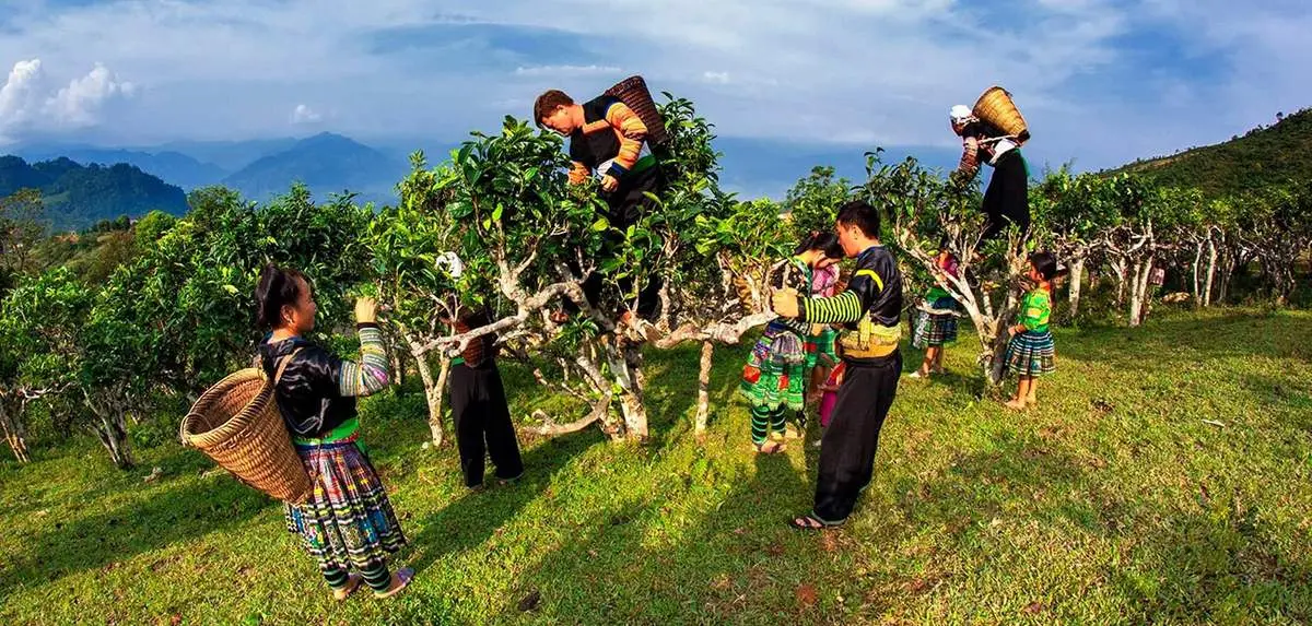 Trọn bộ Kinh nghiệm phượt Yên Bái tự túc dành cho 'team chiếu mới'