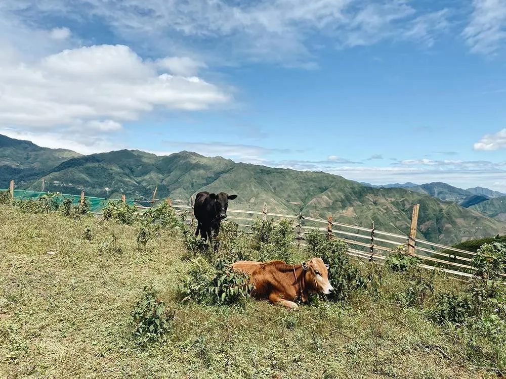 3 ng&agrave;y trekking chinh phục sống lưng khủng long T&agrave; X&ugrave;a 3