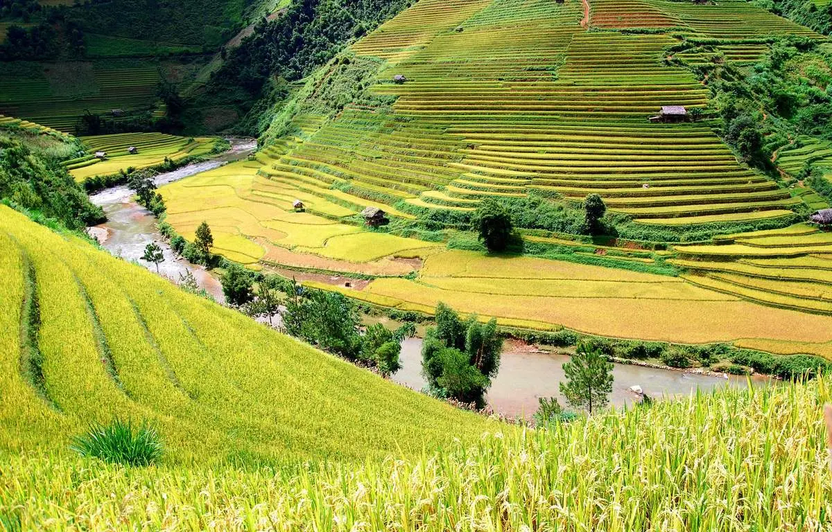 Bỏ t&uacute;i Lịch tr&igrave;nh kh&aacute;m ph&aacute; Y&ecirc;n B&aacute;i 3N2Đ tự t&uacute;c si&ecirc;u th&uacute; vị 3