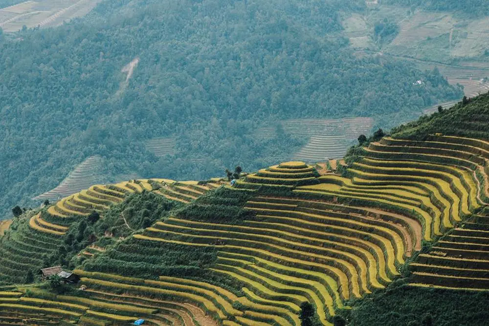 Gợi &yacute; Lịch tr&igrave;nh Y&ecirc;n B&aacute;i - Nghĩa Lộ - M&ugrave; Cang Chải 3 ng&agrave;y tự t&uacute;c 6