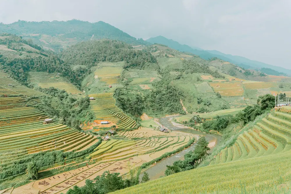 Gợi &yacute; Lịch tr&igrave;nh Y&ecirc;n B&aacute;i - Nghĩa Lộ - M&ugrave; Cang Chải 3 ng&agrave;y tự t&uacute;c 7