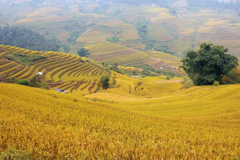 Lịch tr&igrave;nh kh&aacute;m ph&aacute; M&ugrave; Cang Chải 3N2Đ v&agrave; những trải nghiệm kh&oacute; qu&ecirc;n 2