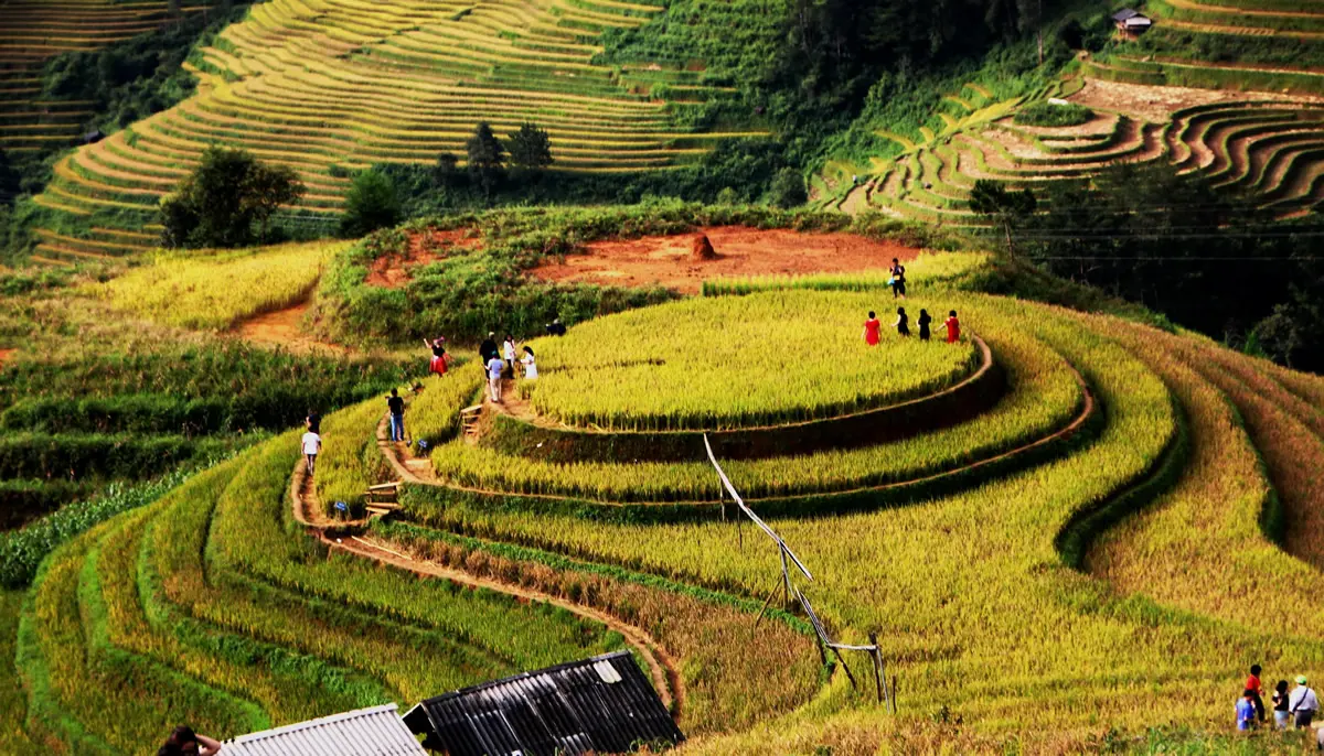 Lịch trình Mù Cang Chải 2 ngày giá rẻ chi tiết nhất dành cho bạn 7