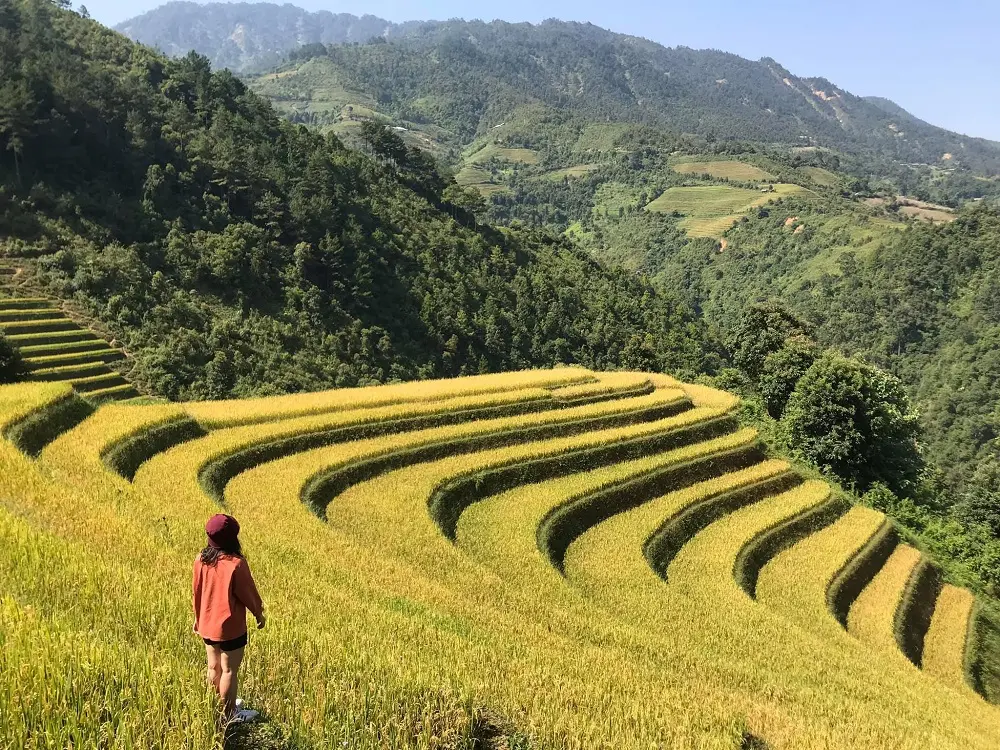 Lịch trình Mù Cang Chải 2 ngày giá rẻ chi tiết nhất dành cho bạn 4