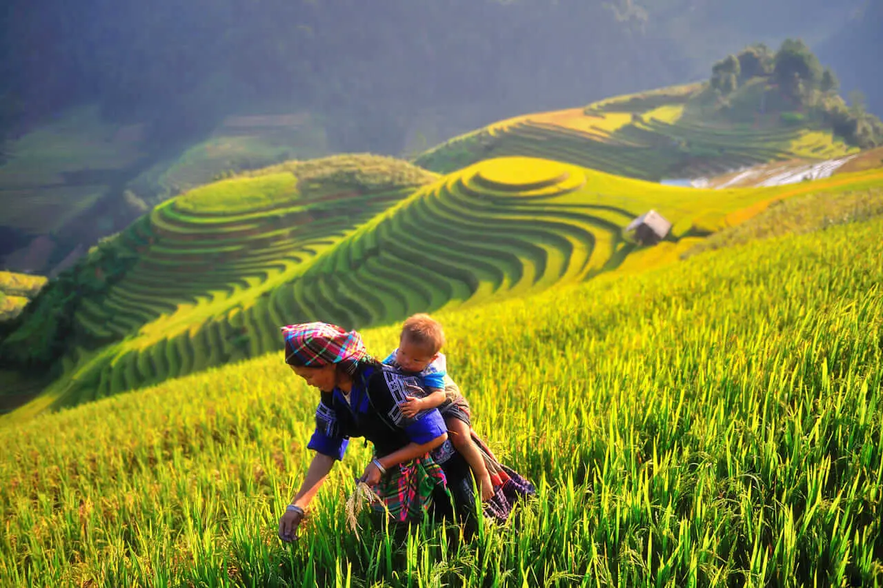 Lịch tr&igrave;nh M&ugrave; Cang Chải 3N2Đ d&agrave;nh cho t&iacute;n đồ kh&aacute;m ph&aacute; 5