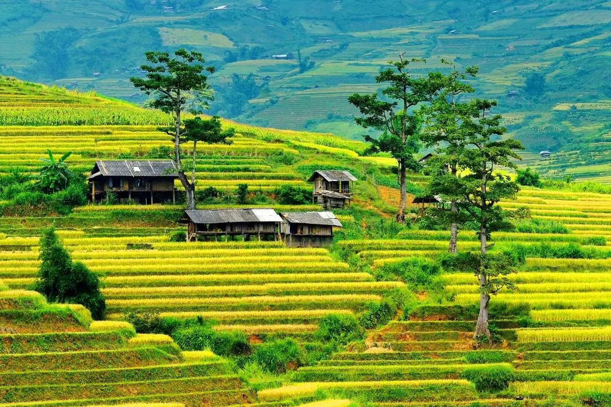 Lịch tr&igrave;nh M&ugrave; Cang Chải 3N2Đ d&agrave;nh cho t&iacute;n đồ kh&aacute;m ph&aacute; 2