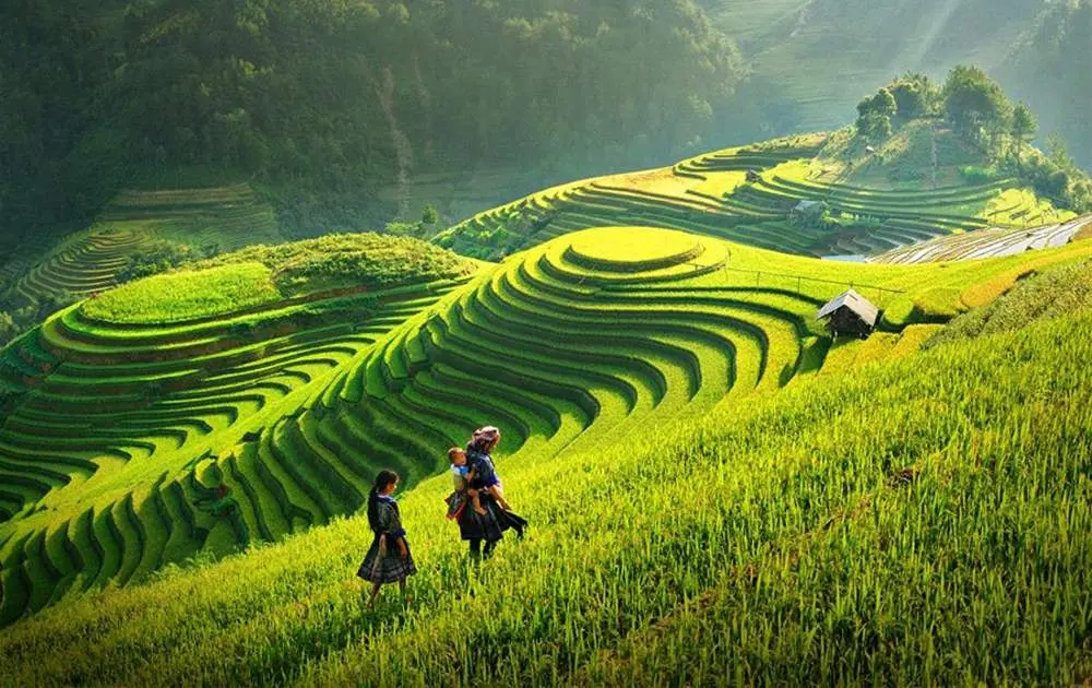 Lịch tr&igrave;nh M&ugrave; Cang Chải 3N2Đ d&agrave;nh cho t&iacute;n đồ kh&aacute;m ph&aacute; 3