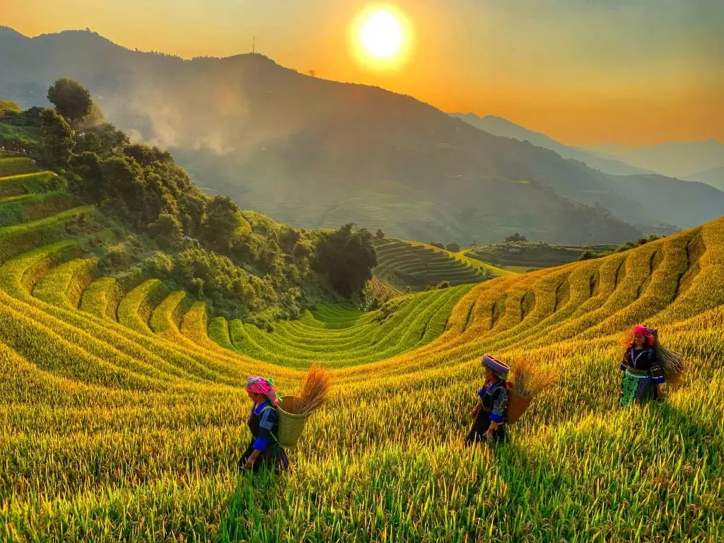 Lịch tr&igrave;nh M&ugrave; Cang Chải 3N2Đ tự t&uacute;c bảo đảm si&ecirc;u vui lu&ocirc;n n&egrave; bạn ơi! 2